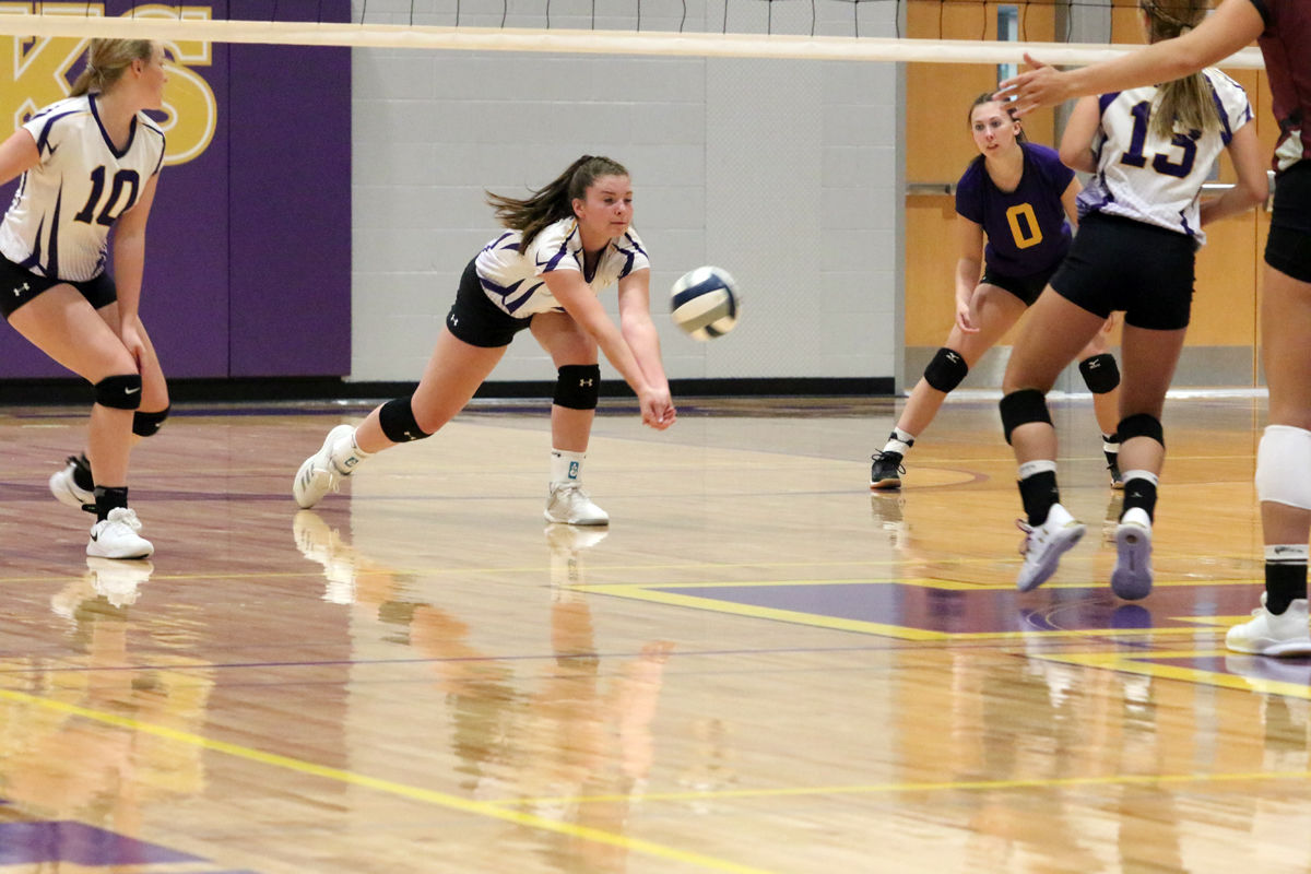 Hampton VB Tri (5).JPG